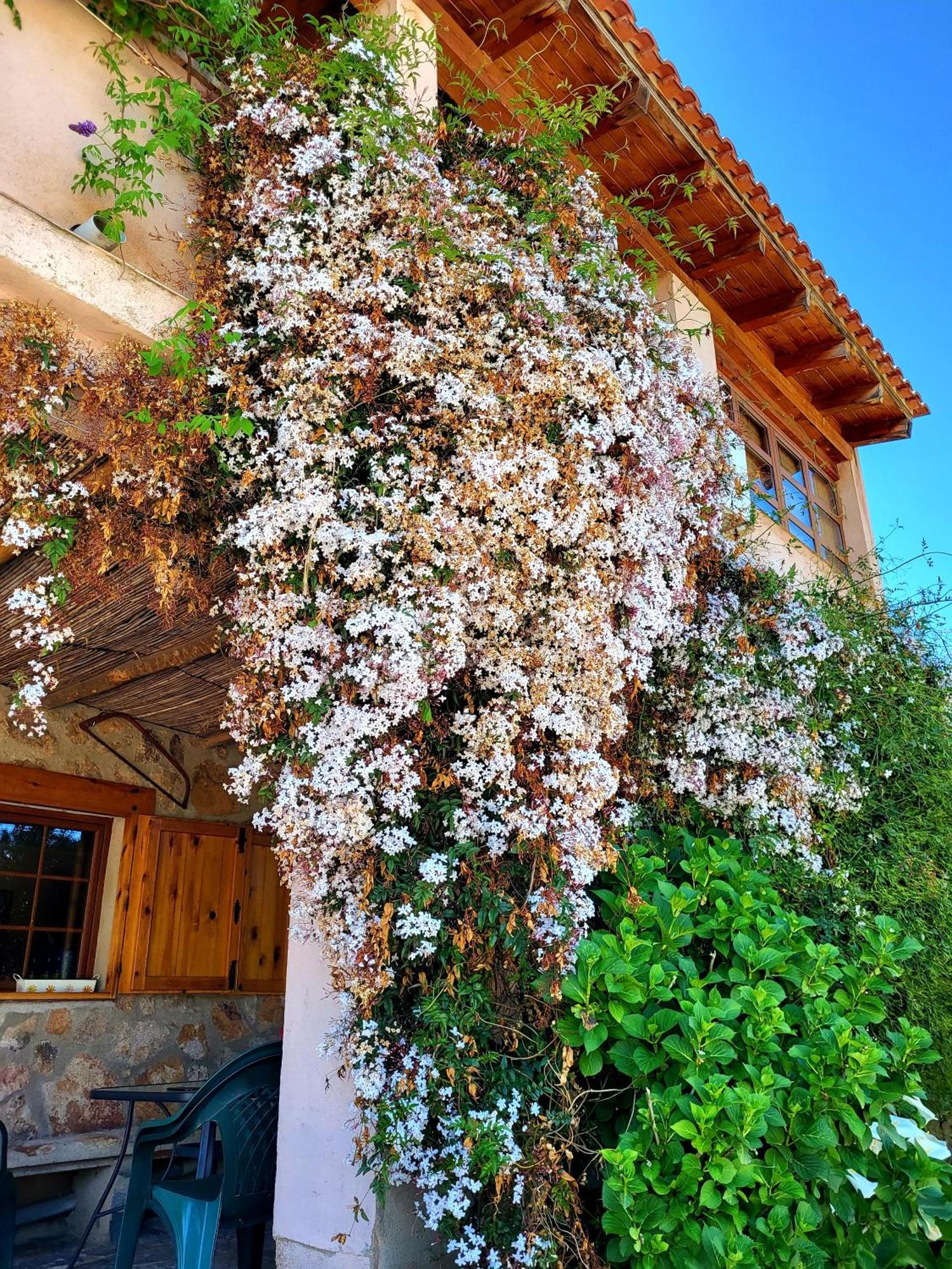 Casa Rural Balcon Del Camino Viejo Валенсія-де-Алькантара Екстер'єр фото